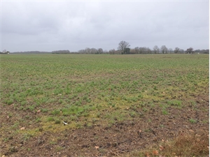terrain a batir à la vente -   33370  FARGUES SAINT HILAIRE, surface 520 m2 vente terrain a batir - UBI478843091